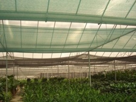 廣西遮陽(yang)網批發，南甯遮(zhē)陽網廠家